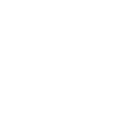 Sine Yaşlılık