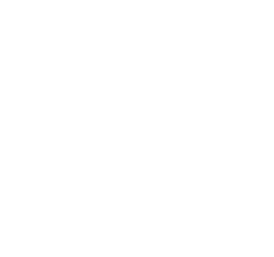 Sine Yaşlılık
